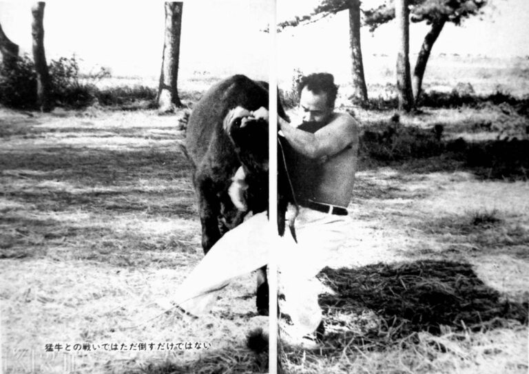 Héroe nacional, Masutatsu Ōyama